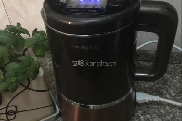 黑豆浆的做法图解1