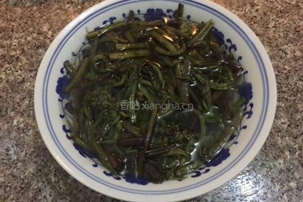 凉拌蕨菜的做法图解1