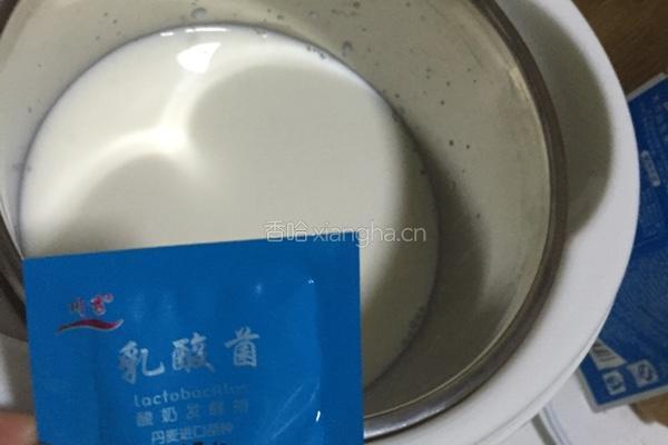 苹果自制酸奶的做法图解2