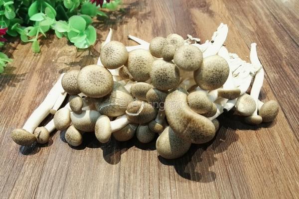 菌菇豆腐汤的做法图解1