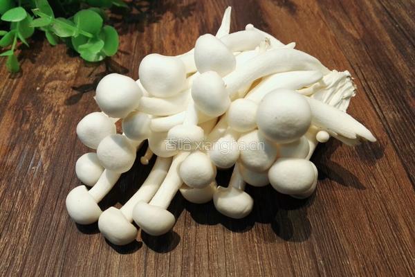 菌菇豆腐汤的做法图解2