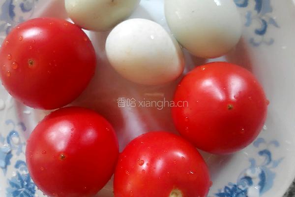 西红柿炒蛋的做法图解1