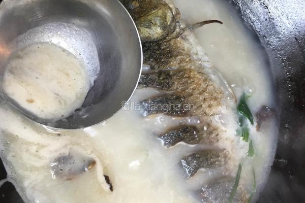 奶白鲫鱼汤的做法图解8
