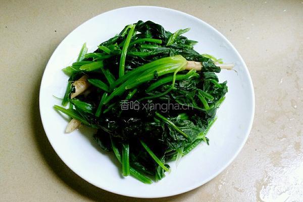 菠菜汁的做法图解3