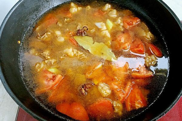 西红柿土豆炖牛肉的做法图解8