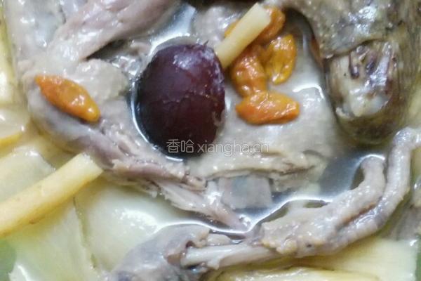 炖鸽子汤的做法图解11