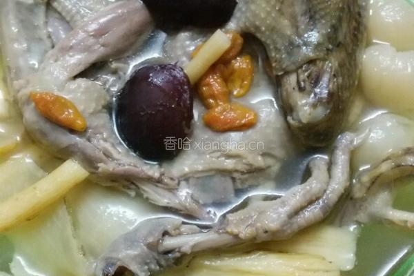 炖鸽子汤的做法图解10