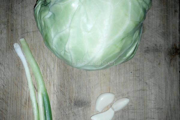 凉拌圆白菜的做法图解1