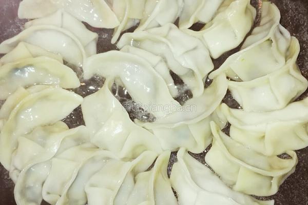 煎饺的做法图解4