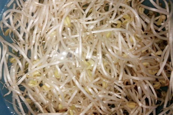 素炒辣味黄豆芽的做法图解1