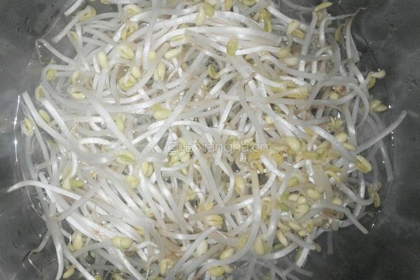 素炒辣味黄豆芽的做法图解2