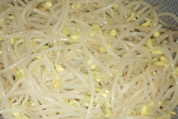 素炒辣味黄豆芽的做法图解3