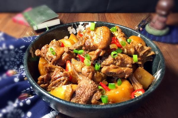 红烧鸭肉的做法图解14