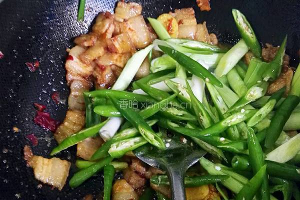 四川回锅肉的做法图解6
