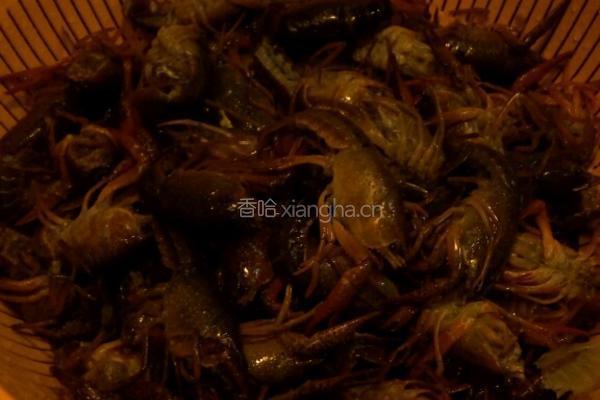 口味虾的做法图解2