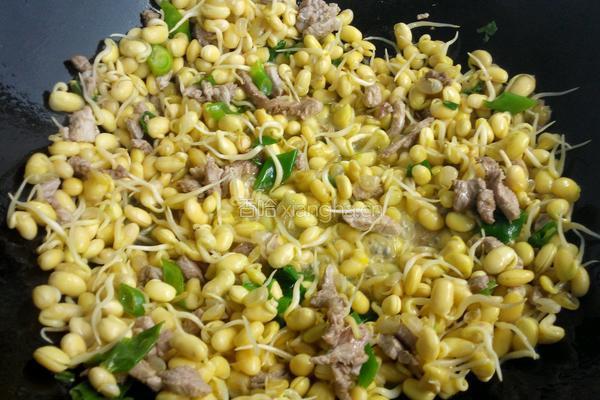 肉炒黄豆芽的做法图解5