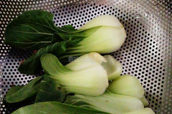 荸荠红萝卜小菜心肉饼汤的做法图解3