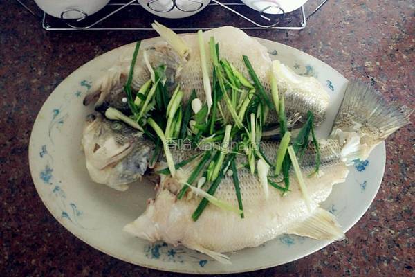 清蒸鱸魚的做法图解4