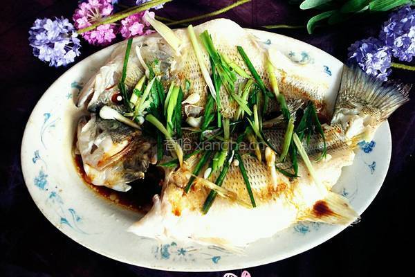 清蒸鱸魚的做法图解7