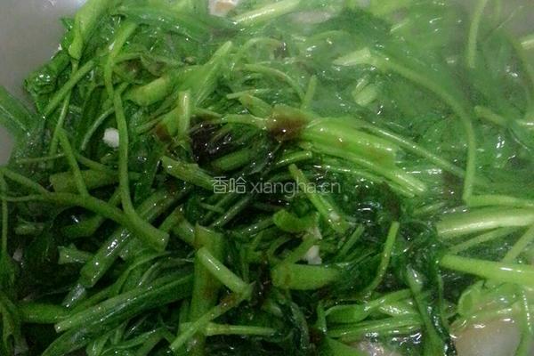蚝油空心菜的做法图解4