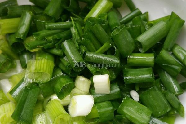 土豆焖排骨的做法图解4