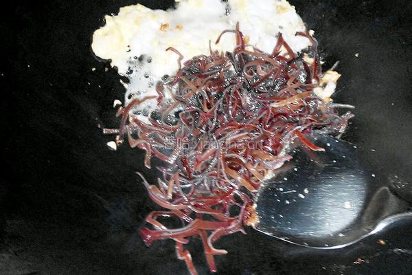 鸡蛋炒木耳的做法图解5