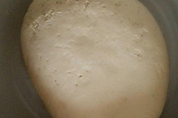 香菇猪肉包的做法图解1