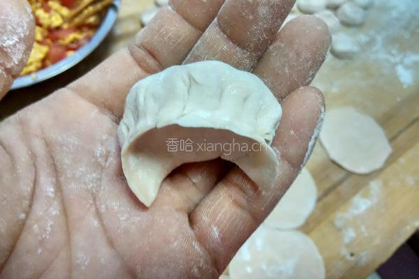 西红柿鸡蛋饺子的做法图解18