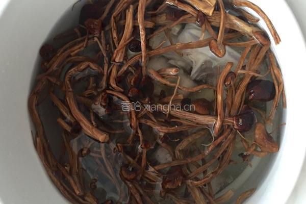 茶树菇炖鸡的做法图解4
