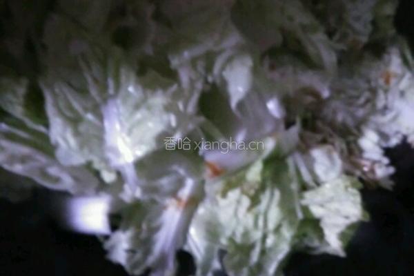 农家炖菜的做法图解4