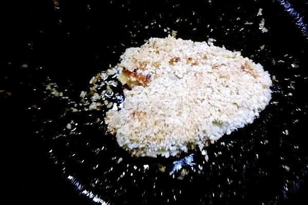 香辣鸡腿堡的做法图解8