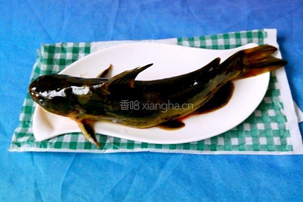 鲶鱼炖豆腐的做法图解1