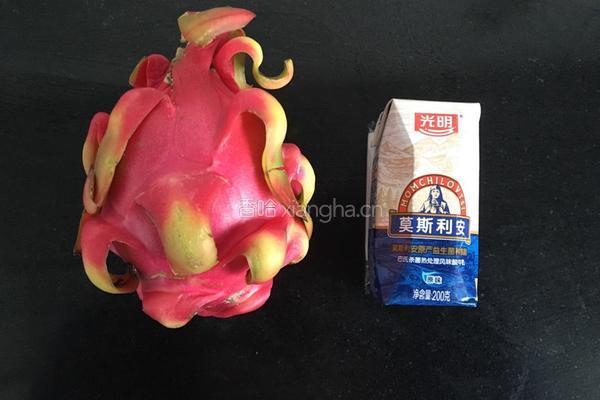 火龙果奶昔的做法图解1