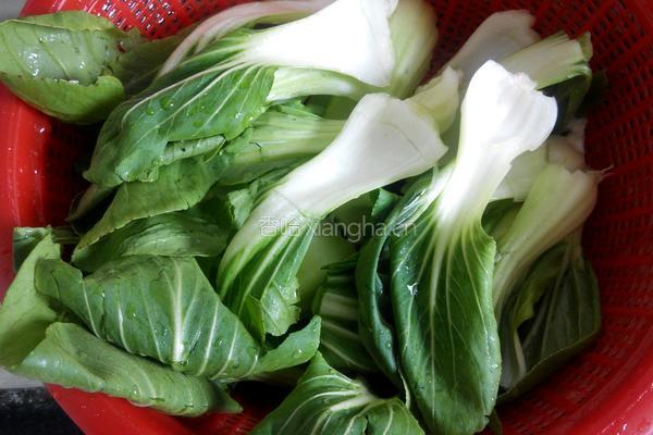 家常清炒油菜的做法图解1