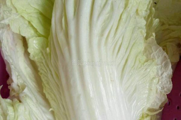 糖醋白菜的做法图解1