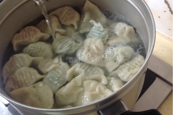 鲅鱼水饺的做法图解16