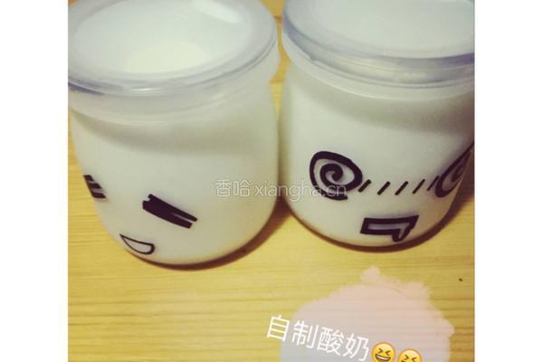自制老酸奶的做法图解7