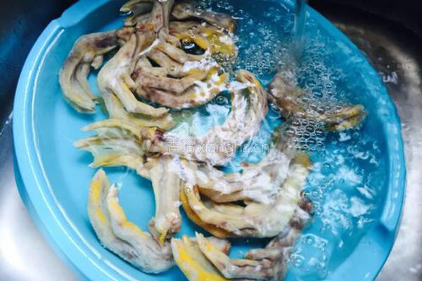 辣卤鸭爪的做法图解10