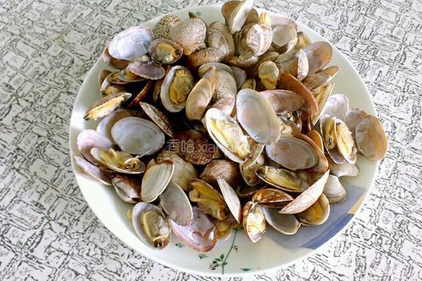丝瓜花蛤汤的做法图解4