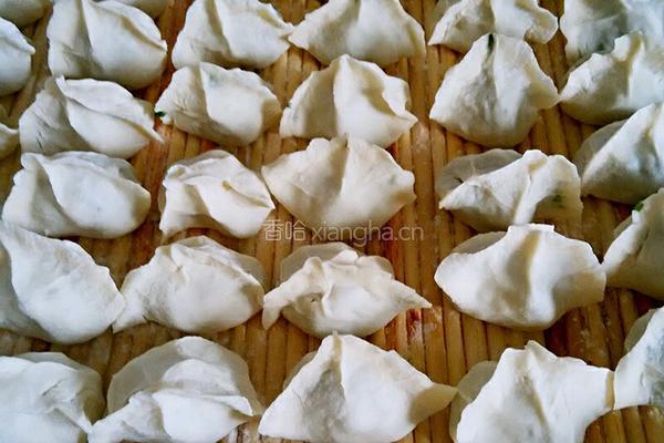 茴香饺子的做法图解5