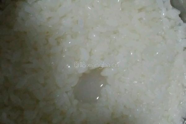 醪糟的做法图解11