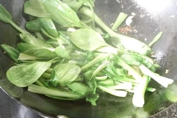 白菜豆腐的做法图解3
