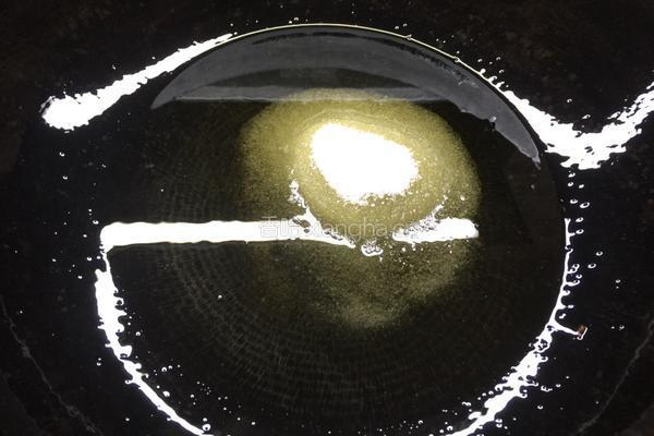 新疆正宗秘制大盘鸡的做法图解4