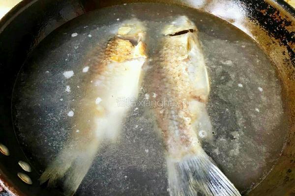鱼汤的做法图解9