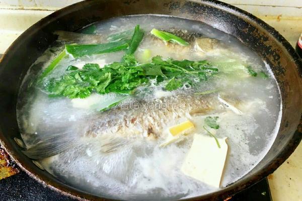 鱼汤的做法图解10