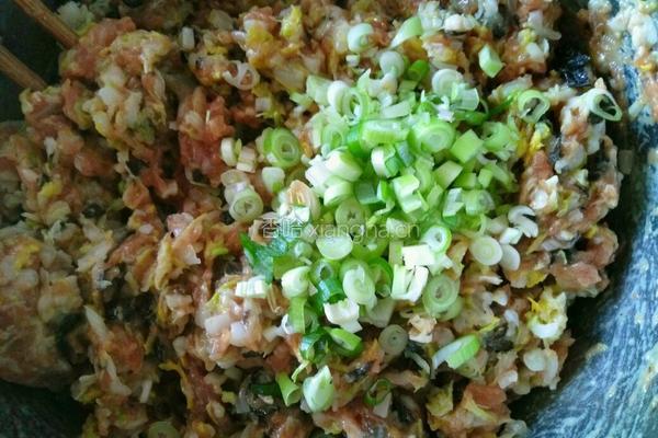 猪肉白菜饺子的做法图解11