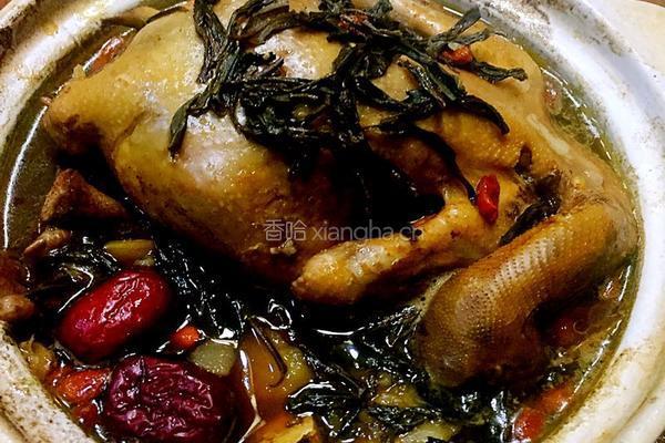 瓷锅茶香鸡的做法图解5
