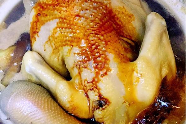 瓷锅茶香鸡的做法图解4
