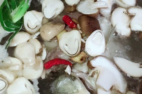 鲜菌奶白鲫鱼汤的做法图解11