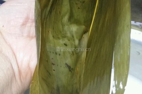 包粽子的做法图解4